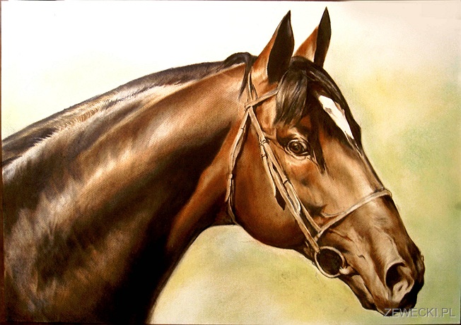 Portret konia